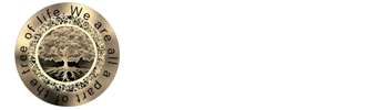 Chiropractic New Port Richey FL Pelosi Chiropractic and Wellness Center