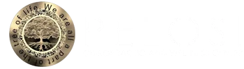 Chiropractic New Port Richey FL Pelosi Chiropractic and Wellness Center