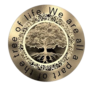 Chiropractic New Port Richey FL Pelosi Chiropractic and Wellness Center Chiropractic New Port Richey FL Pelosi Chiropractic and Wellness Center