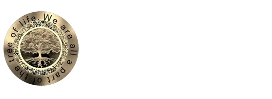 Chiropractic New Port Richey FL Pelosi Chiropractic and Wellness Center
